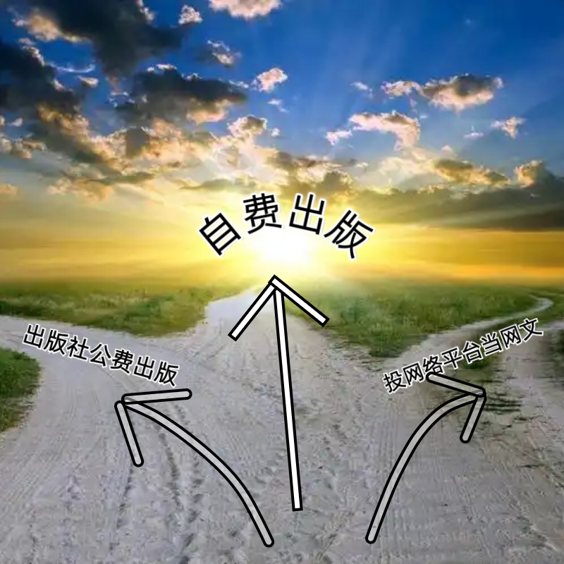 写了一半小说，是找正规出版社出版？还是投网络平台当网文？