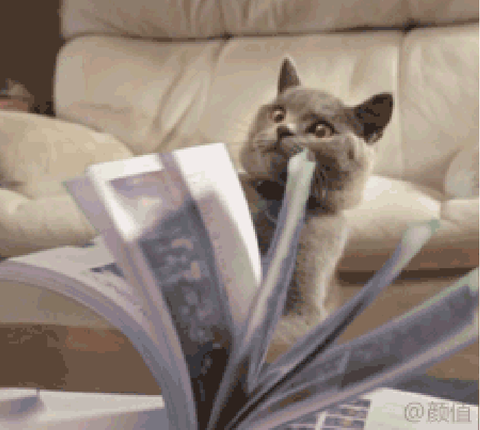 为什么现在很多人动不动就喜欢出一本书？