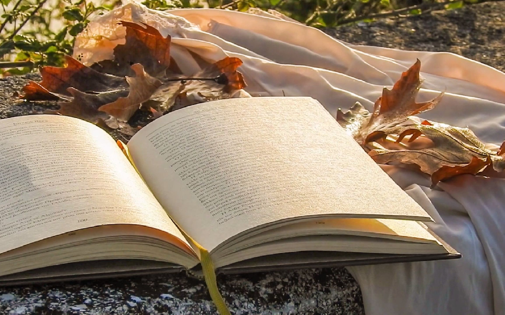 为什么很多人讨厌现在出版的书？